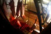 Aufgedeckt: Bildaufnahmen belegen Tierquälerei in mit Videoüberwachung ausgestattetem Schlachthof Bild: Aufgedeckt: Bildaufnahmen belegen Tierquälerei in mit Videoüberwachung ausgestattetem Schlachthof