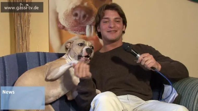 Bild: Wie gefährlich sind Hunde?