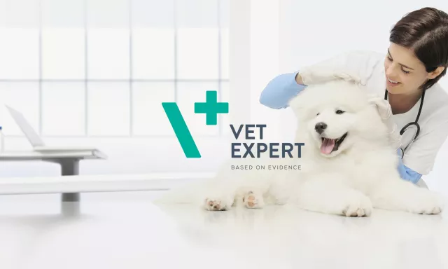 Bild: VETEXPERT Tiergesundheit Österreich