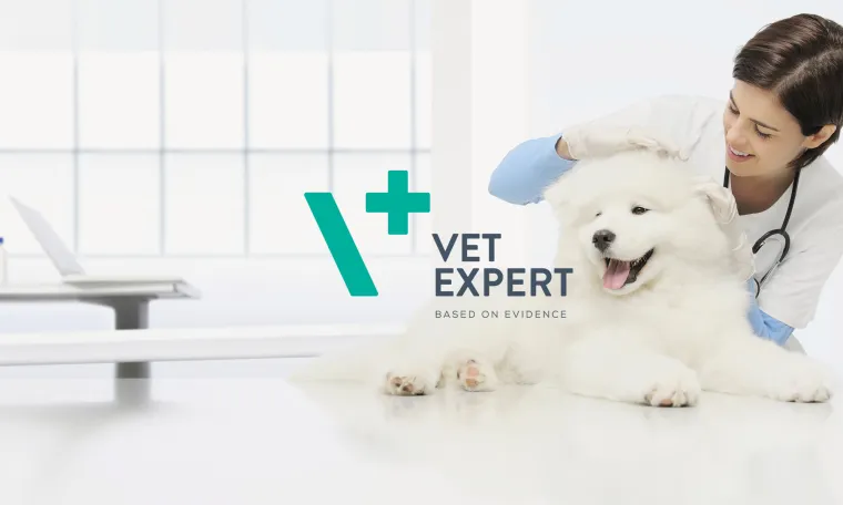 Bild: VETEXPERT Tiergesundheit Österreich