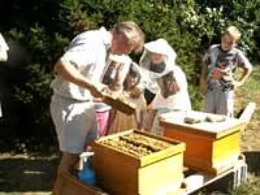 Bild: Bee a hero - Abstimmen und spenden für das Projekt "Be(e) in contact" der Naturschutzjugend (NAJU) im NABU