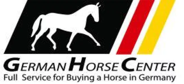 Bild: 1 Jahr German Horse Center: Verkaufspferdeangebot verdreifacht