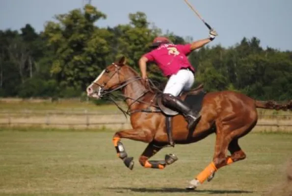 Bild: Internationale Deutsche Polo Jugend Meisterschaft im Polopark Berlin-Dallgow