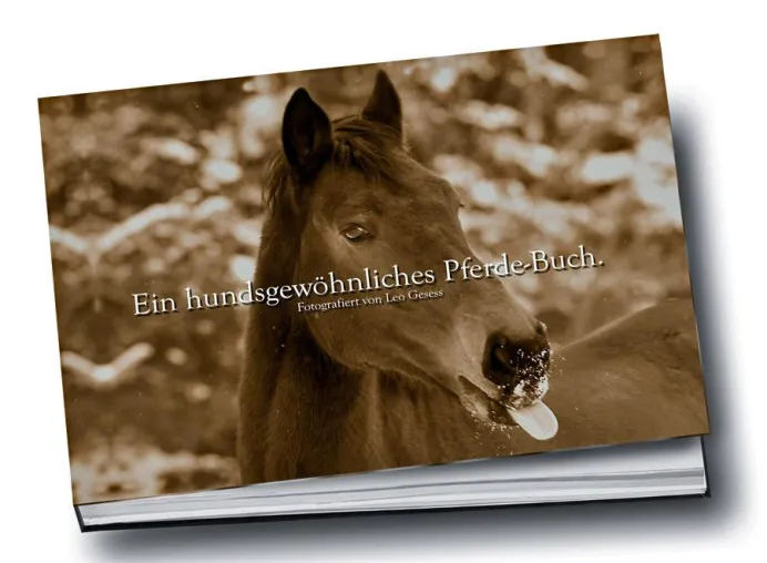 Bild: Elegant und witzig - Neuer Bildband "Ein hundsgewöhnliches Pferde-Buch"