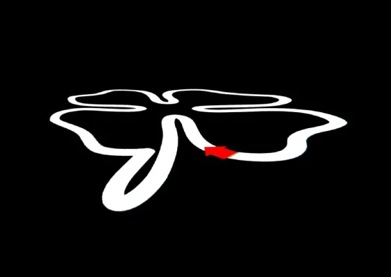 Bild: Goldenes Kleeblatt im Kaskadenkondensator Basel