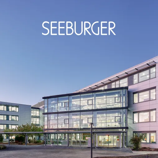 Bild: SEEBURGER unter den Top 20  der IT-Dienstleister Deutschlands