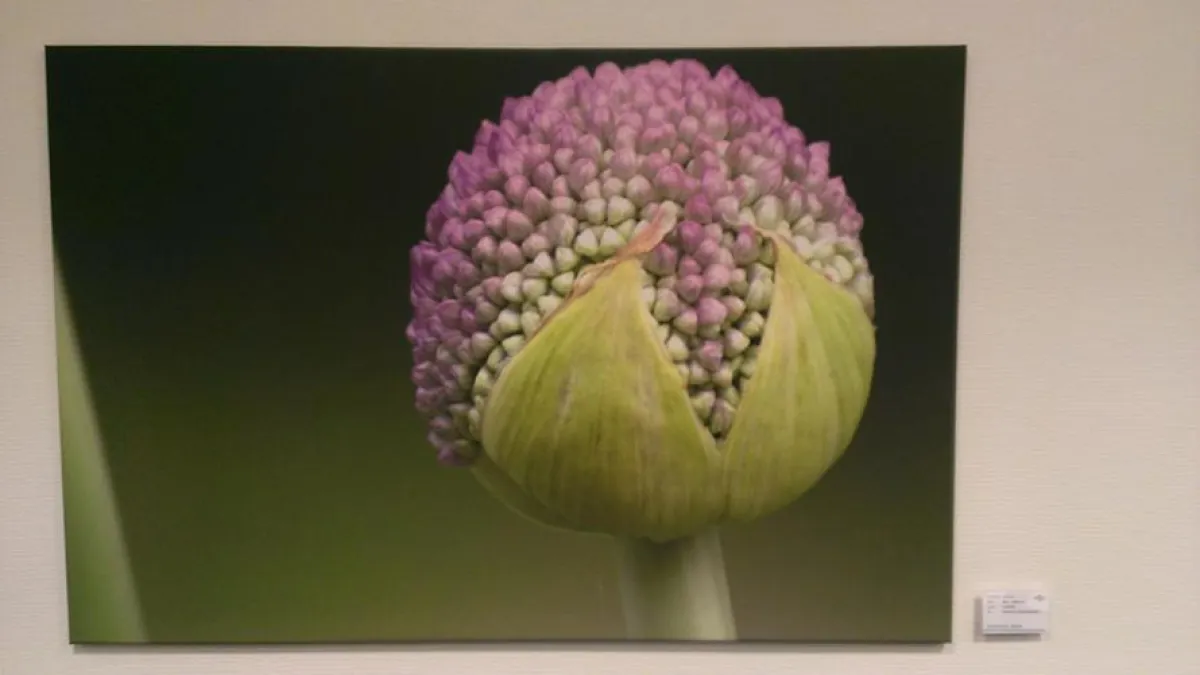 Kunst im Büro bei acadon