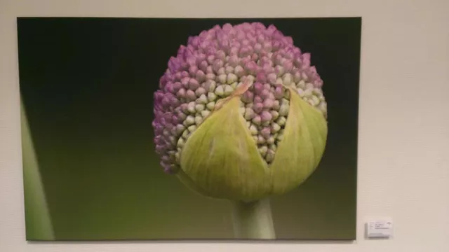 Bild: Kunst im Büro