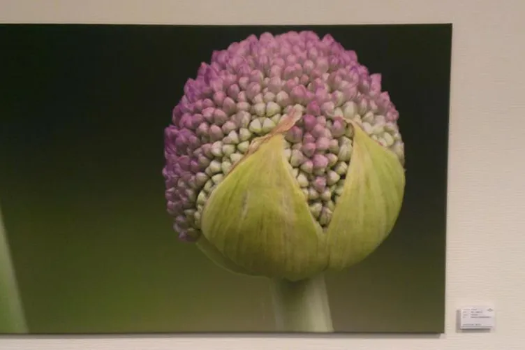 Kunst im Büro Bild: Kunst im Büro