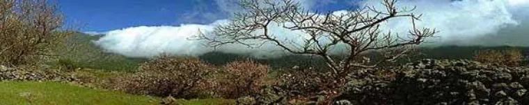 Coaching auf La Palma - Stille Tage auf La Palma Bild: Coaching auf La Palma - Stille Tage auf La Palma