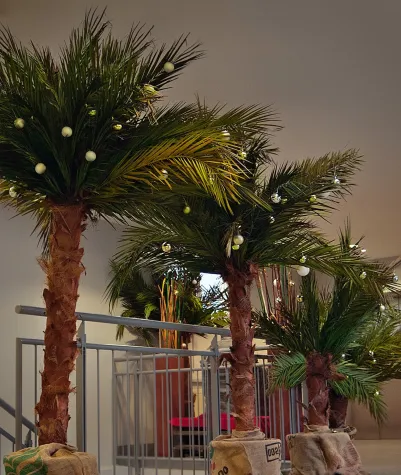 Bild: Echtblattkonservierte Palmen als Weihnachtsbaum
