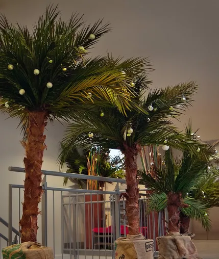 Bild: Echtblattkonservierte Palmen als Weihnachtsbaum