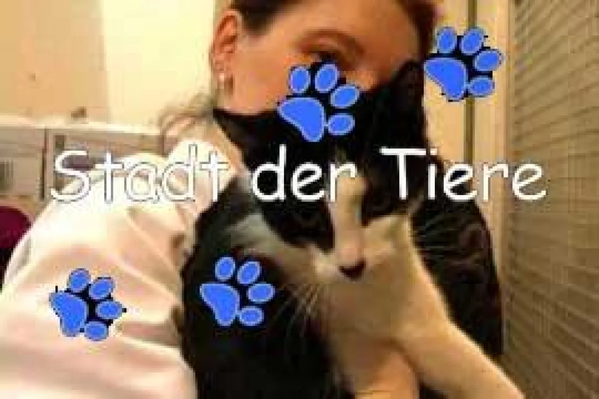 Stadt der Tiere - neue WebTV Dokusoap von mmpro