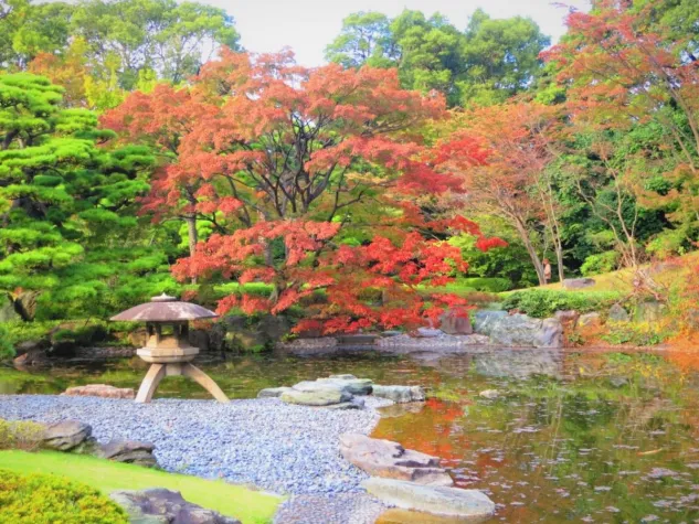 Bild: So finden Sie im Chaos der Krisen Inspiration und Lebensfreude