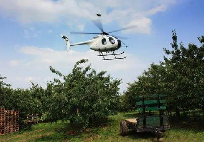 Königlicher Besuch Bild: Königlicher Besuch