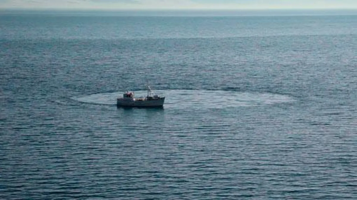 Hringsól 4 (Wander around 4), Videoloop, 7:00 min, 2012