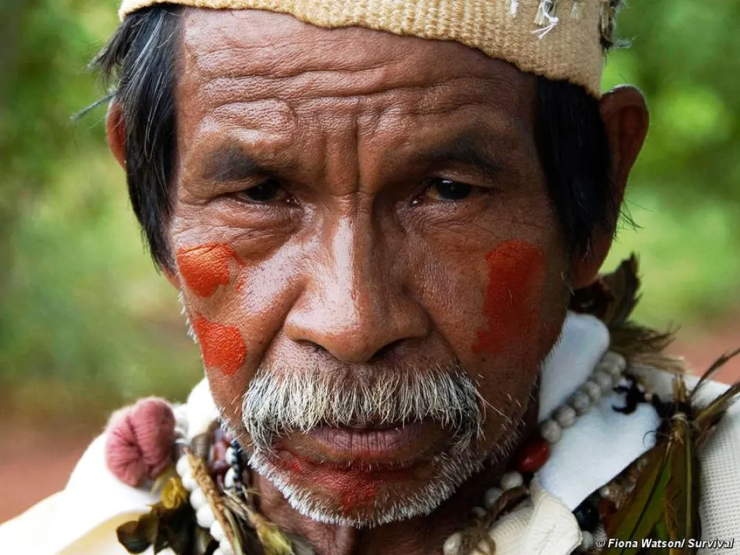 Guarani-Indianer protestierten gegen Raizens Aktivitäten auf ihrem Land. © Fiona Watson/ Survival