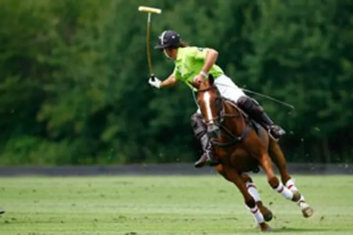 Bild: Acht internationale Teams beim 7. Polopicknick in Münster am 31. Juli und 1. August