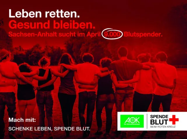 Bild: Sachsen-Anhalt sucht 9.000 Blutspender