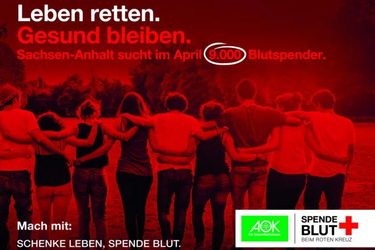 Bild: Sachsen-Anhalt sucht 9.000 Blutspender