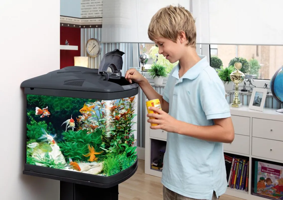 Mit sera vipan können sich kleine Aquaristikeinsteiger sicher sein, dass ihre Fische gesund ernährt werden. Foto: sera