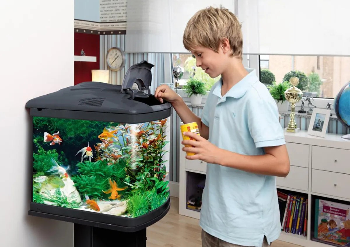 Mit sera vipan können sich kleine Aquaristikeinsteiger sicher sein, dass ihre Fische gesund ernährt werden. Foto: sera