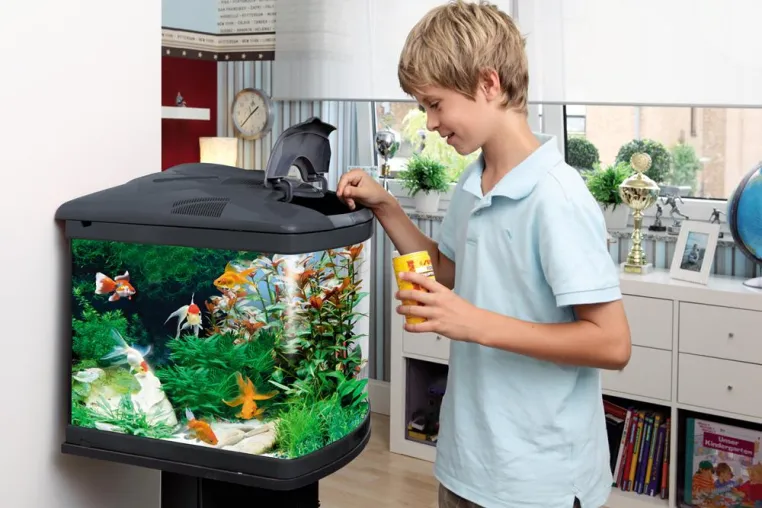 Bild: Kleine Profis in Sachen Fischfütterung