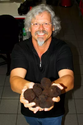 „Schwarzes Gold“ aus Down Under - Australische Manjimup-Trüffel erstmalig in Deutschland erhältlich Bild: „Schwarzes Gold“ aus Down Under - Australische Manjimup-Trüffel erstmalig in Deutschland erhältlich