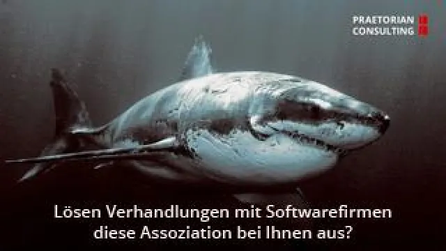 Bild: Was bedeutet die Oracle-ULA für ein Unternehmen?