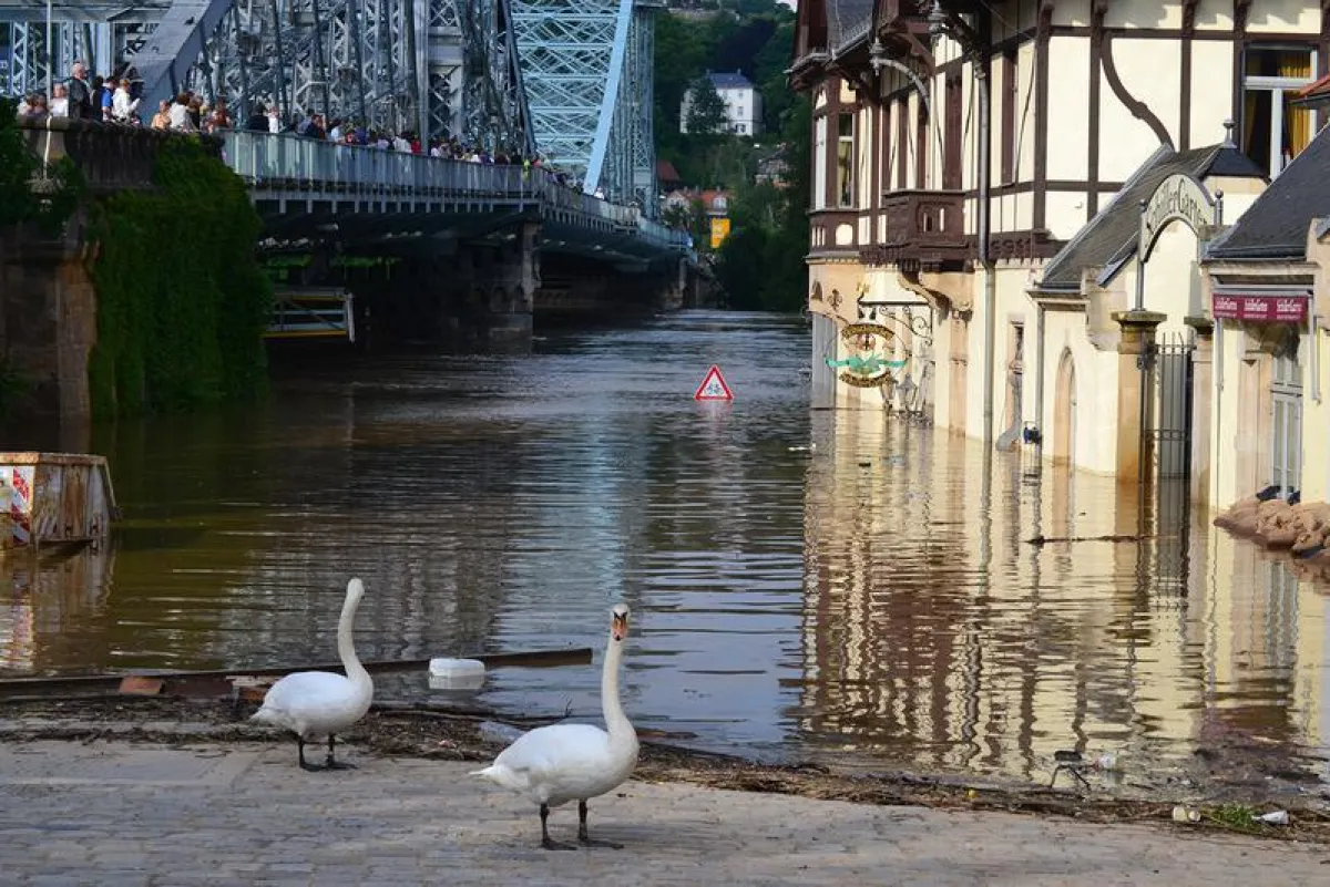 Hochwasser in Dresden (BBSR/Dosch)