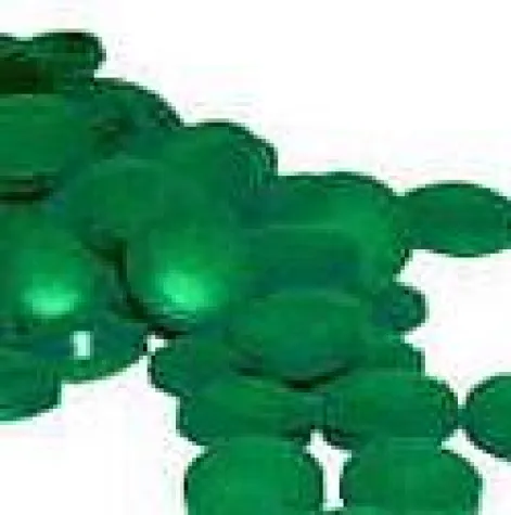 Bild: Algen - die grüne Super-Nahrung für Körper und Geist