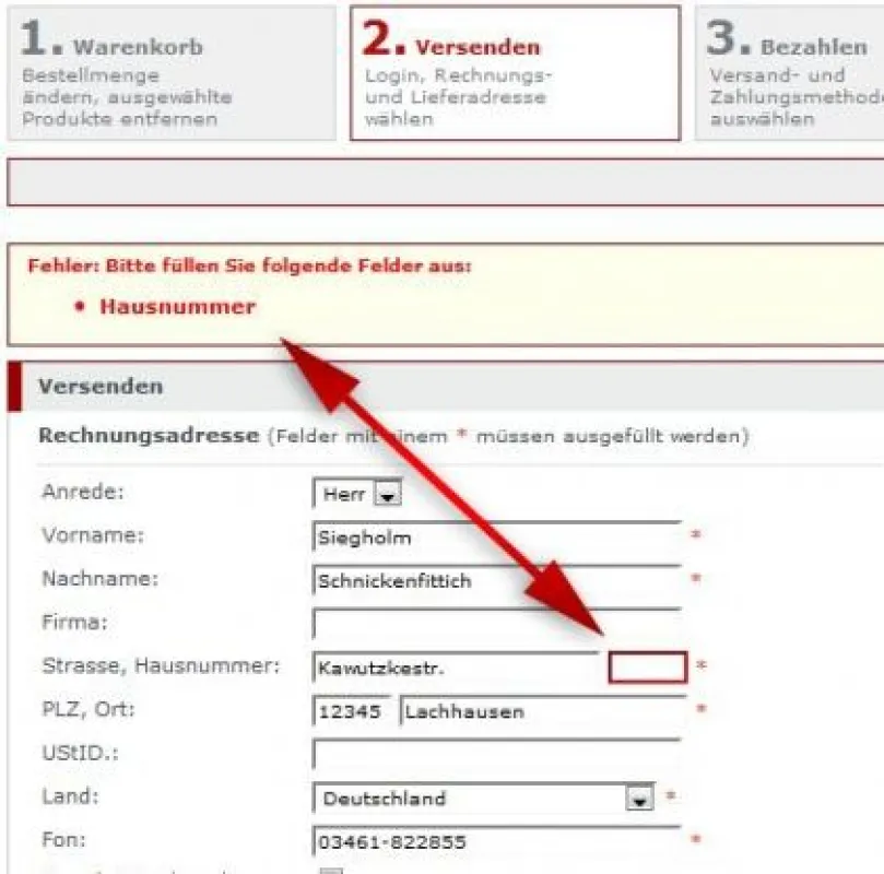 Klare Fehlerangaben beim Bestellen zeigt QuickAudio.de