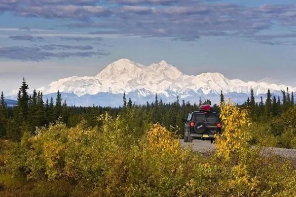 Bild: Bären hautnah erleben in Alaska