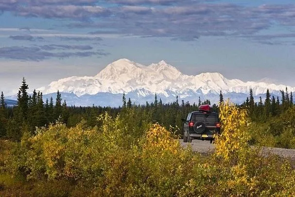 Bären hautnah erleben in Alaska Bild: Bären hautnah erleben in Alaska