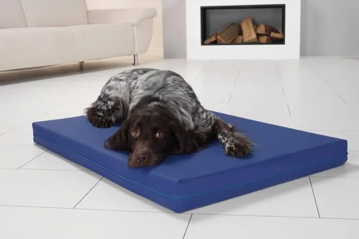 Bild: Hygienisches Hundebett PULMACELL safe - wasserdicht, antimikrobiell (MRSA)