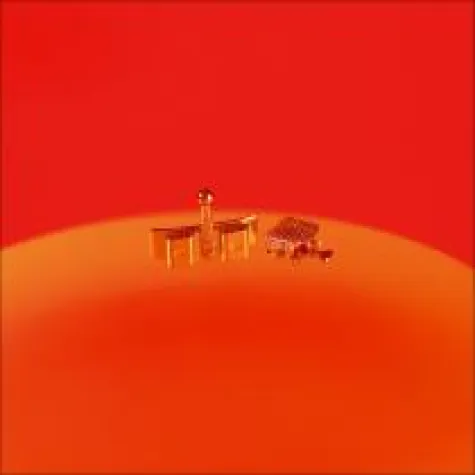 Bild: GOZ – Seminare zur neuen Gebührenordnung schon 2008 verfügbar