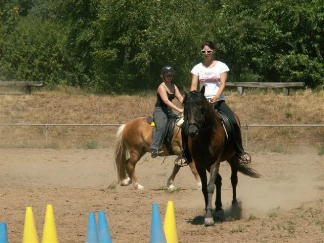 Michael Geitner sucht Dual-Aktivierer Bild: Michael Geitner sucht Dual-Aktivierer