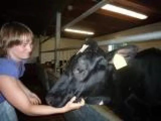 Bild: Sehr erfolgreiches AVA-Kälber-Seminar für Tierärzte in der Bestandsbetreuung von Milchkuherden