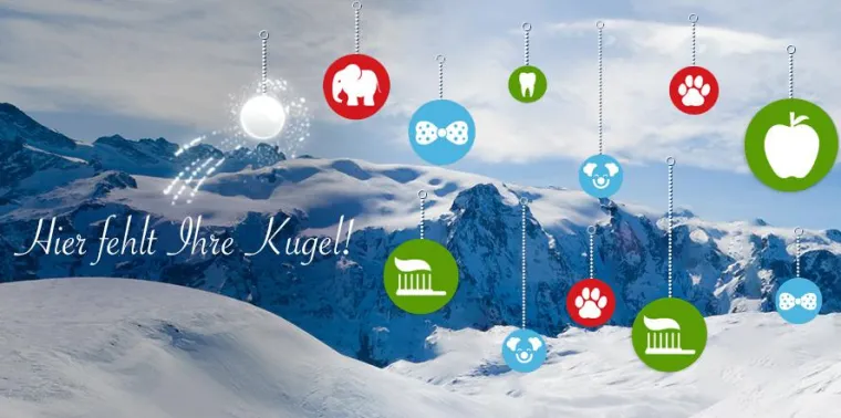 Schmücken für den guten Zweck Bild: Schmücken für den guten Zweck