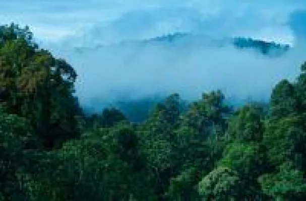 Bild: MTCC erhält PEFC-Auszeichnung für nachhaltige Waldwirtschaft