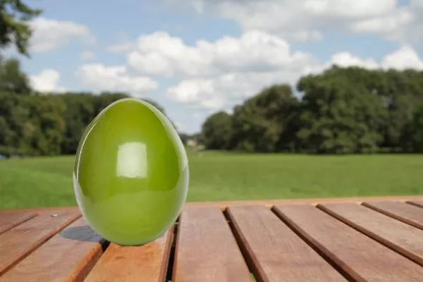 Bild: Grüne Ostern für Bremen, Weyhe, Stuhr und Syke