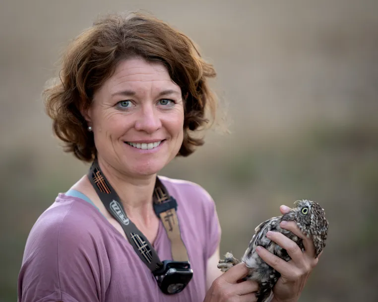 Bild: Biodiversität im Zusammenspiel: Neue Professur für Interaktionsökologie und Klima