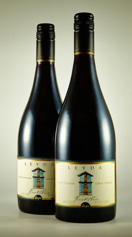 Bild: Was ist ein guter Wein, und wie erkennen Weinkenner die Unterschiede zu durchschnittlichem Wein?