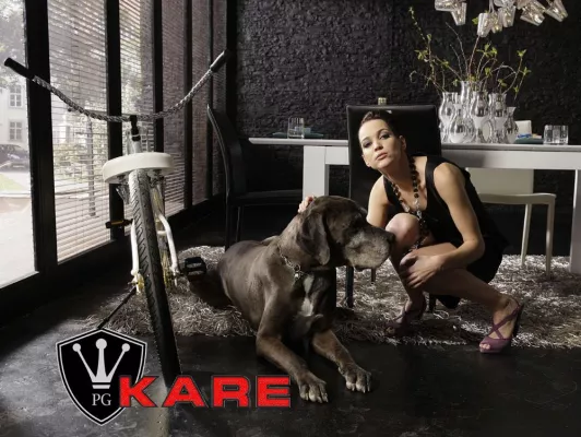 Bild: PG-Bikes und KARE machen gemeinsame Sache