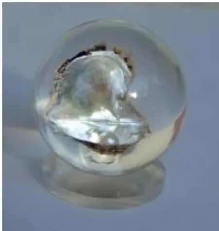 Bild: Die Glaskugel: Ein Blick in Ihre Zukunft gefällig?