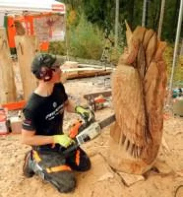 VITAL Camping Bayerbach lädt am 25. Juni zum Tag der offenen Tür Bild: VITAL Camping Bayerbach lädt am 25. Juni zum Tag der offenen Tür