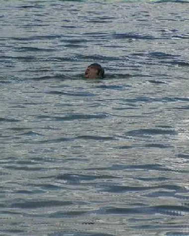 Bild: Untergeher - Videoinstallation von Hannes Hartmann