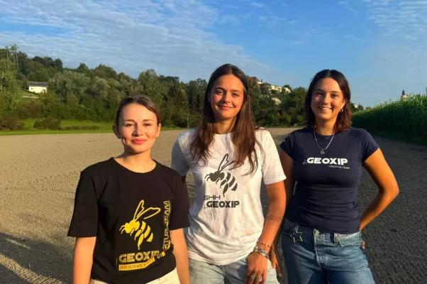 Bild: #vielebienen - Nachhaltig investieren und etwas verändern: Startup Aktien von GEOXIP