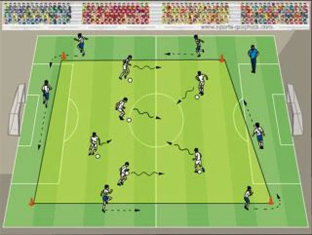 Trainer erwarten heute professionelle Grafiken