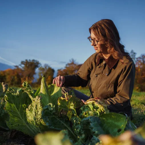 Agrarstudium & Agrarforschung: Universität Hohenheim baut Gartenbauwissenschaften aus Bild: Agrarstudium & Agrarforschung: Universität Hohenheim baut Gartenbauwissenschaften aus